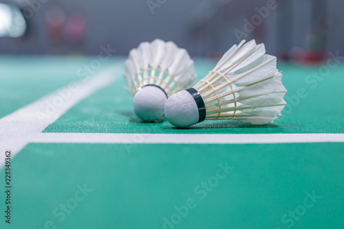 badminton shuttlecock on green court