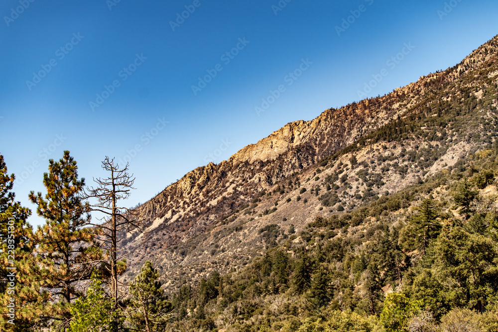Aerial view of Forest Falls and Oak Creek in the San bernardino Mountains and National Forest with blue sky, green and yellow trees and plants