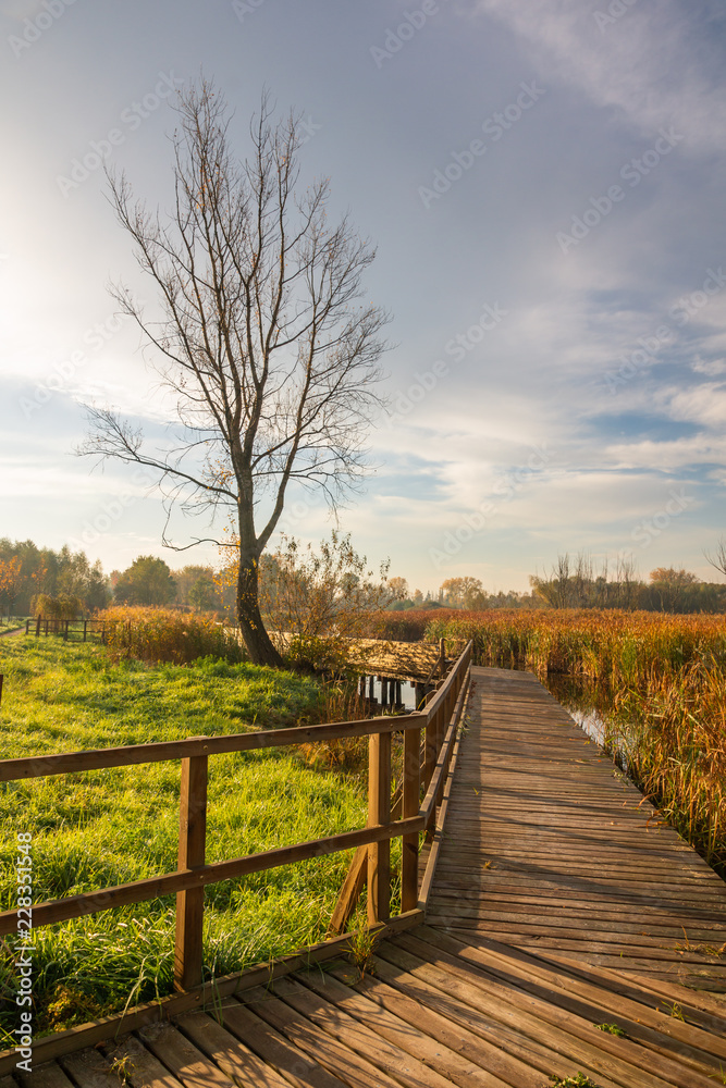 Lake Zgorzala in district Ursynow at autumn, Warsaw, Poland