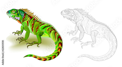 Fantasy illustration of cute green lizard iguana. Colorful and black and white page for coloring book. Worksheet for children and adults. Vector cartoon image. photo