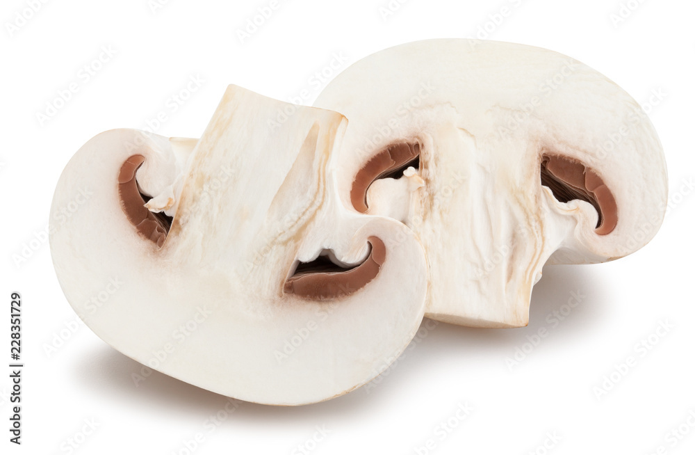 Fototapeta premium mushrooms