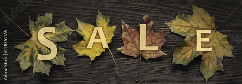 autumn ad sale with wooden sign for words and inscriptions and beautiful leaves, copy space