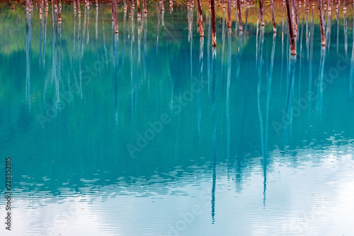 blue pond in Biei, Hokkaido Japan