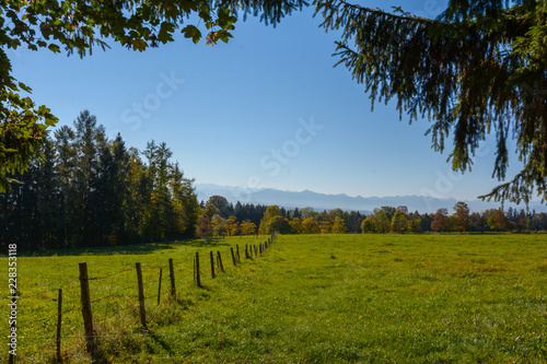 Weide mit Zaun  im Herbst vor Herbstbäumen und Bergen