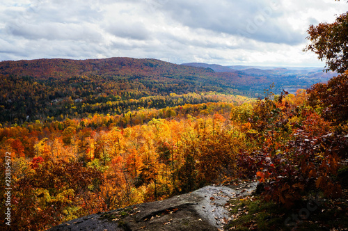 Wonderful sunlight over the colorful valley of maple trees after the rain, Quebec, Canada