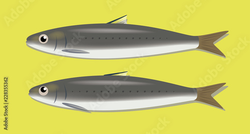 Dead Fish Sardines Cartoon Cute Vector Couple