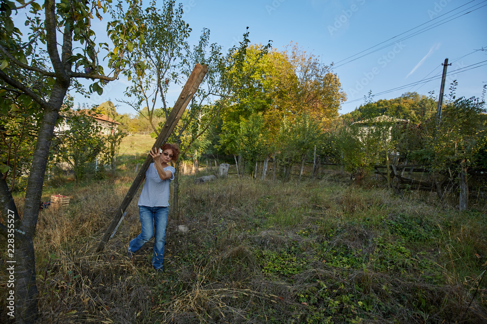 Farmer woman with a ladder in the orchard Farmer woman with a ladder in the orchard