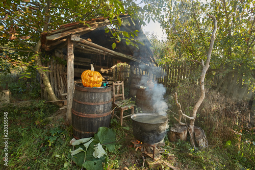 Bilde på lerret Witch lair with boiling spells