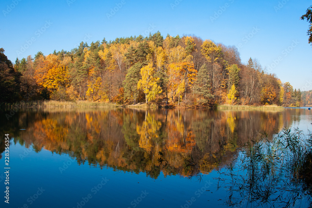 Beautiful colorful trees forest in Autumn reflected in a blue lake like in a mirror