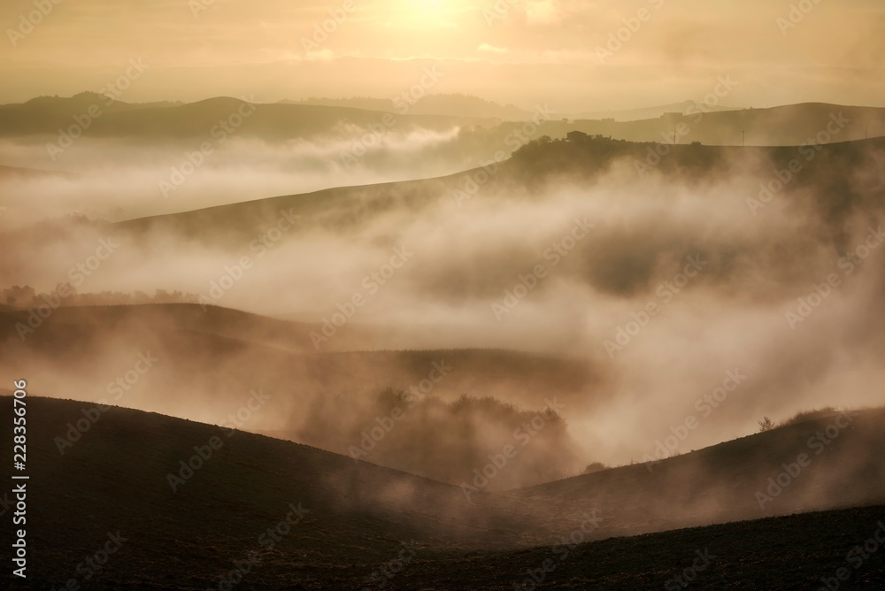 hill, outdoor, sunlight, tree, italian, meadow, agriculture, green, spring, italy, view, farmland, seasonal, field, tuscan, scenery, cypress, vineyard, grass, summer, farm, village, countryside,