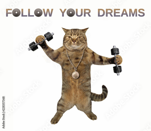 The cat athlete with a sports medalis holding dumbbells. Follow your dreams. White background.