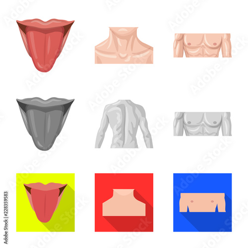 Wallpaper Mural Isolated object of human and part sign. Collection of human and woman stock vector illustration. Torontodigital.ca