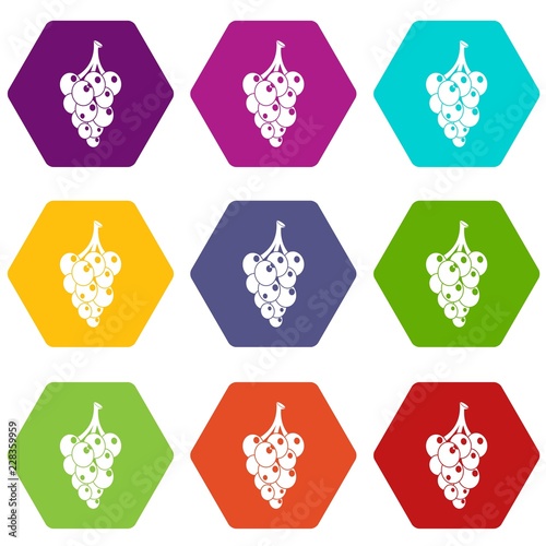 Grape icons 9 set coloful isolated on white for web