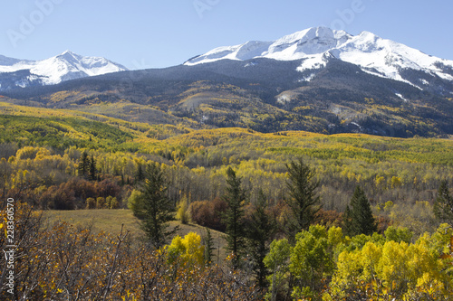 Autumn colors in Gunnison National Forest on Kebler Pass, with snowed-covered West Beckwith Peak and East Beckwith Mountain in the distance. photo