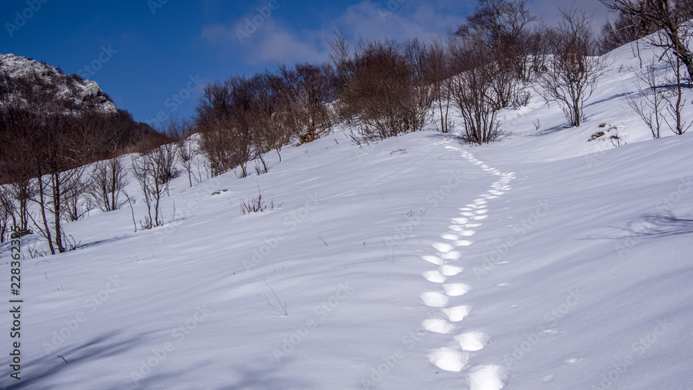 Landscape view of hiking footprints in snow.blurred background. Winter in Croatia.