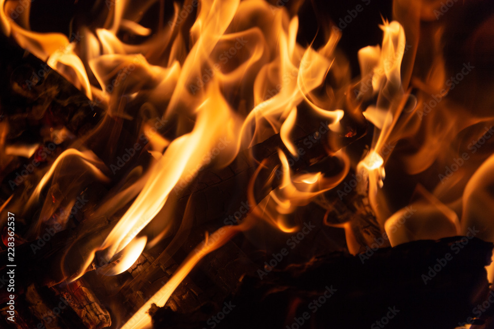 Fototapeta premium Flame of fire on a black background