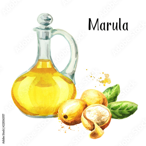 Glass jug of Marula Oil, and fruits. Watercolor hand drawn illustration, isolated on white background photo