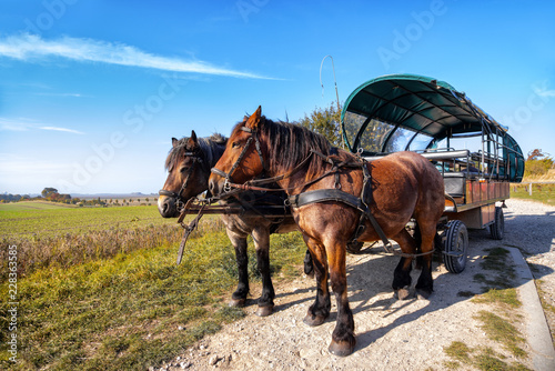 Foto Kutschfahrt von Putgarten nach Vitt, Rügen, Kap Arkona,