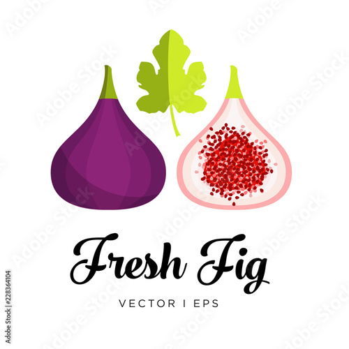 Fresh blue fig, seeds and leaf vector editable illustration. Ripe dark purple  fig sliced, simple flat style.