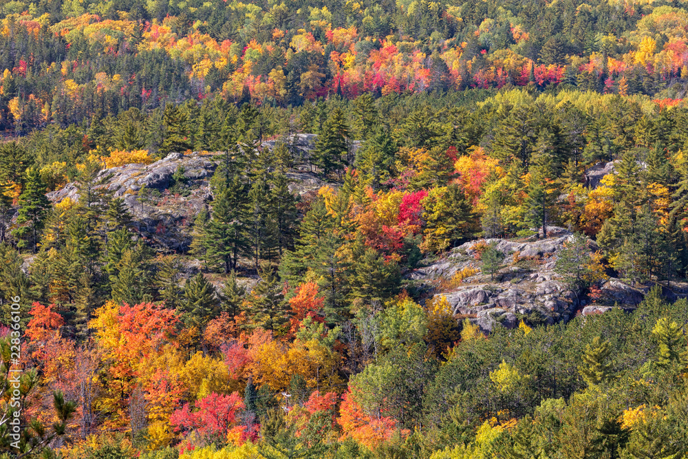 Autumn Colors at Sugarloaf Mountain in Marquette Michigan