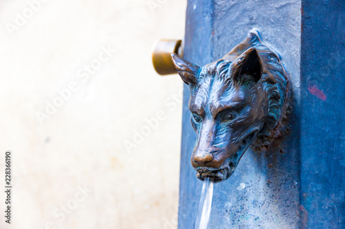 Bilde på lerret Particular of a fountain in Siena, Tuscany, Italy