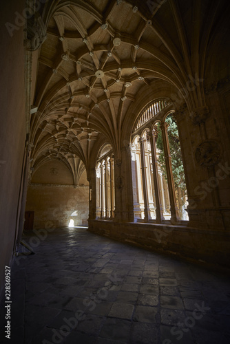 San Esteban de Salamanca, claustro de los Reyes en España.  © jjmillan