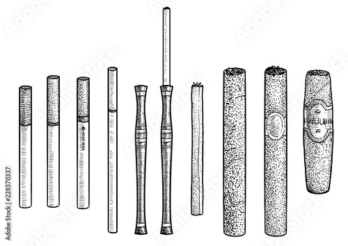 Cigarette, cigar illustration, drawing, engraving, ink, line art, vector