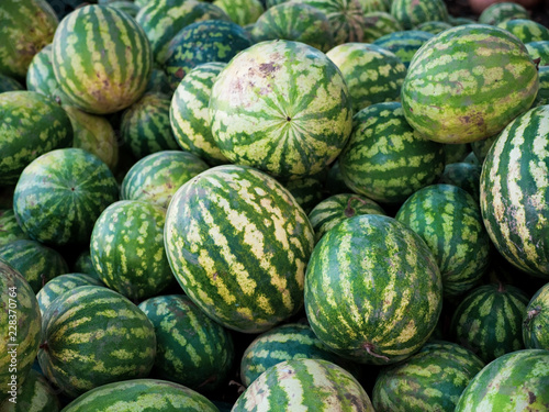 A lot of large ripe green striped watermelons close up background