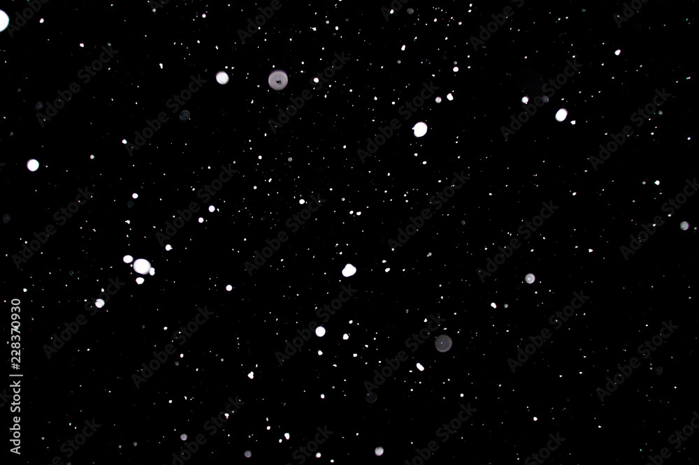 Snowstorm texture. Bokeh lights on black background, shot of flying snowflakes in the air Snowstorm texture. Bokeh lights on black background, shot of flying snowflakes in the air