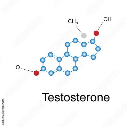 Testosterone molecule