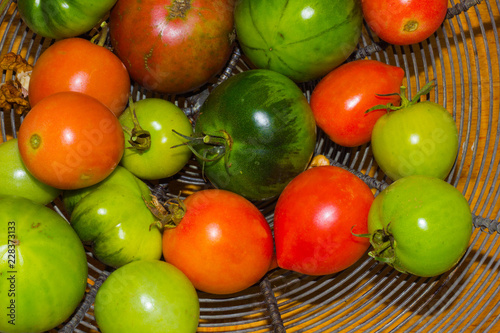 Tomatoes colored, ripe and immature in a wire basket on a wooden board.