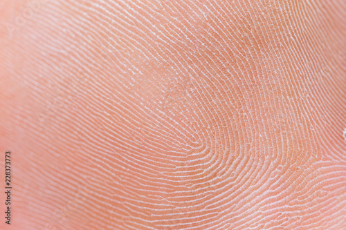 human fingerprint, macro