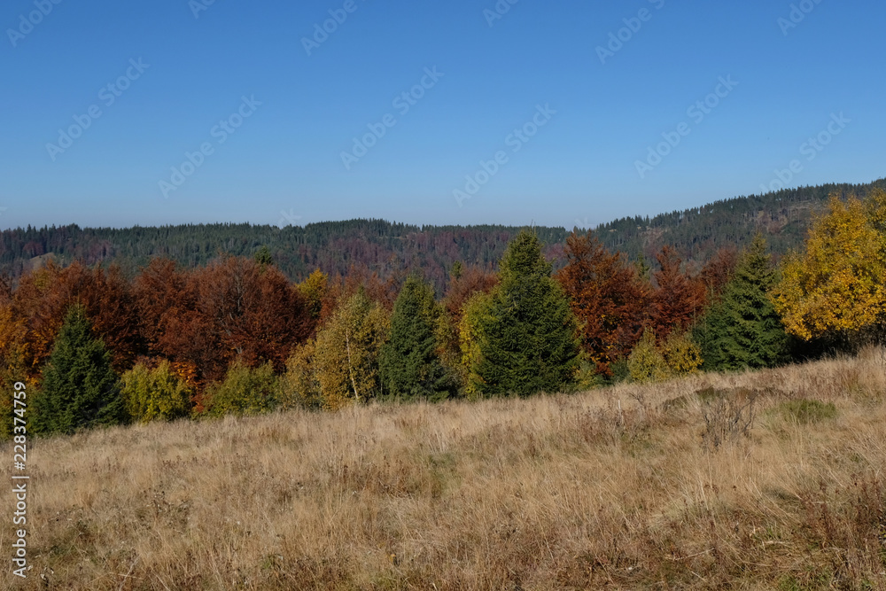 Polska, góry Gorce - jesienna panorama