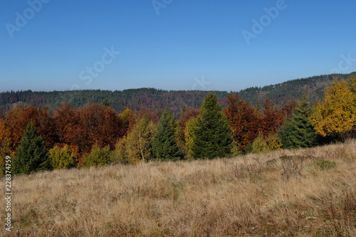 Polska, góry Gorce - jesienna panorama