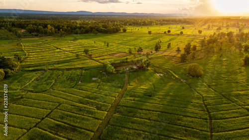 Aerial view rice terraces view the sunset from drone fly and shade Asian landscapes.