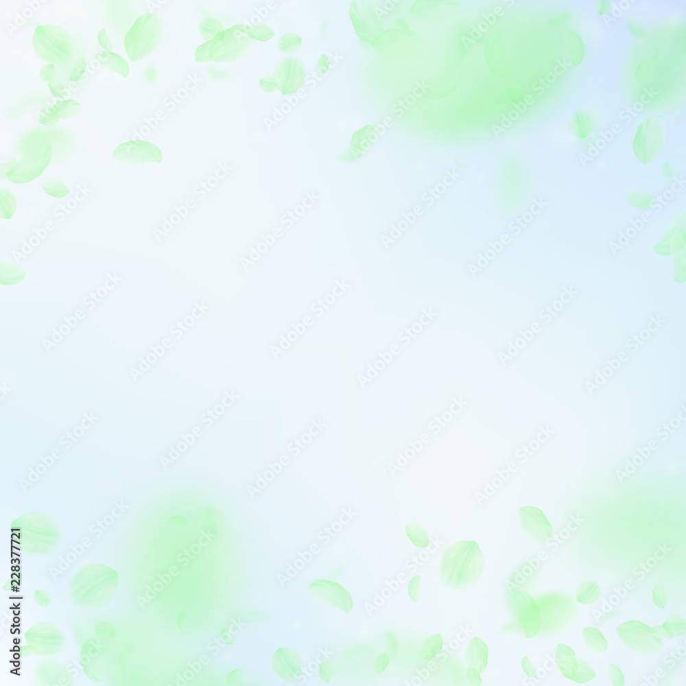 Green flower petals falling down. Indelible romant Green flower petals falling down. Indelible romant