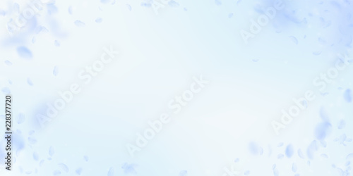 Light blue flower petals falling down. Sublime rom
