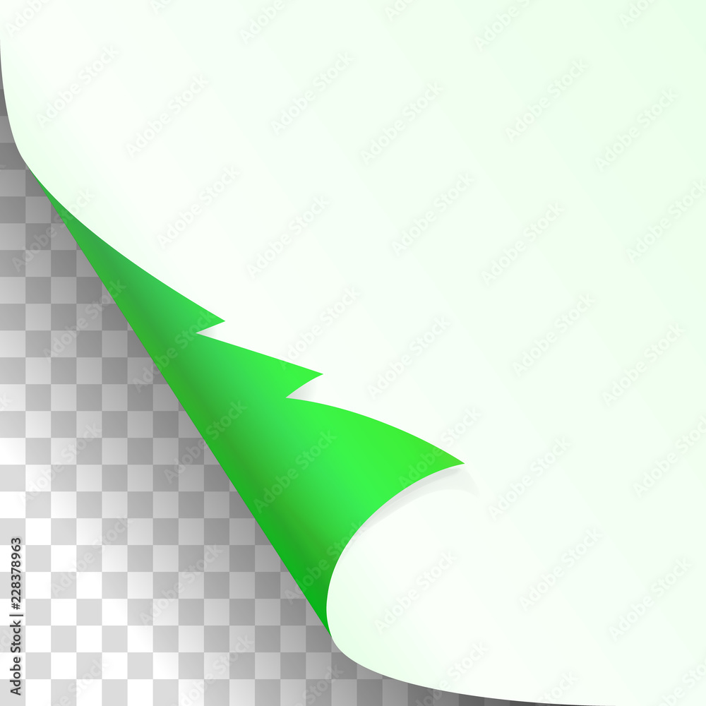 Christmas, new year green curled corner of white paper with shadow up close mockup Isolated on transparent Background. Vector illustration spruce Christmas, new year green curled corner of white paper with shadow up close mockup Isolated on transparent Background. Vector illustration spruce