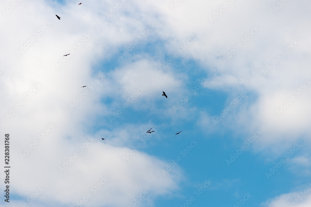 blue sky background with tiny clouds. panorama blue sky background with tiny clouds. panorama