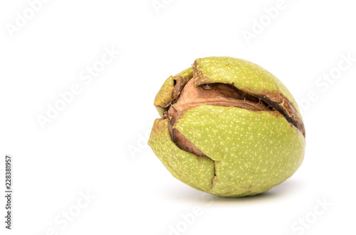 Ripe Walnut in Green Skin Isolited On White Background photo