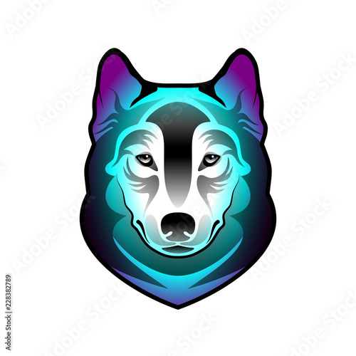 Violet wolf head
