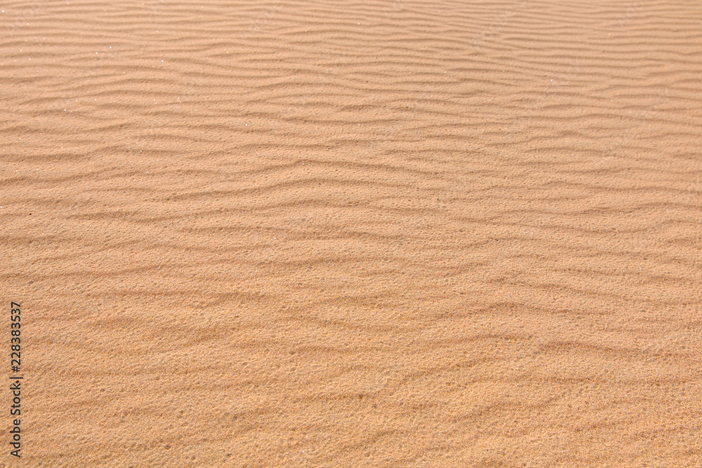 Sand dune texture