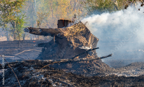 fire in the field and dry wood burns with blue smoke