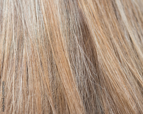 Women's hair is close-up