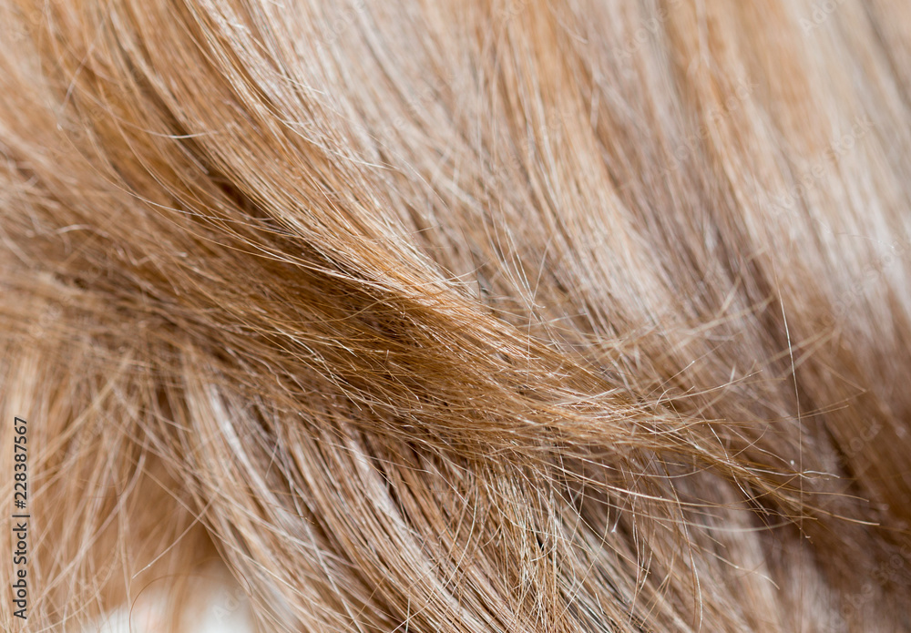 Fototapeta premium Women's hair is close-up