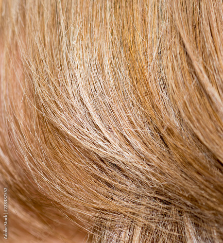 Women's hair is close-up