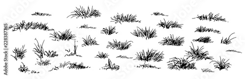 grass, hand drawn set.