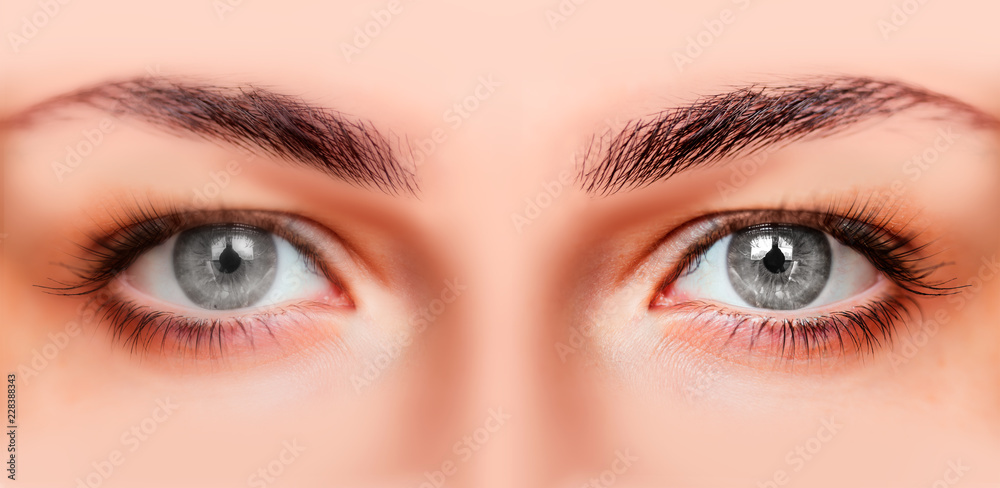 Close-up face of beautiful girl with beautiful grey eyes and big pretty eyelashes Close-up face of beautiful girl with beautiful grey eyes and big pretty eyelashes