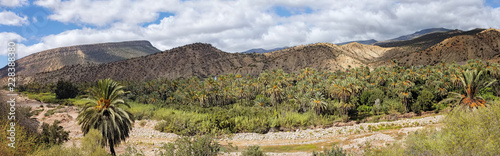Panoramic View of Oasis in Paradise Valley Agadir Imouzer Idaoutanan Morocco