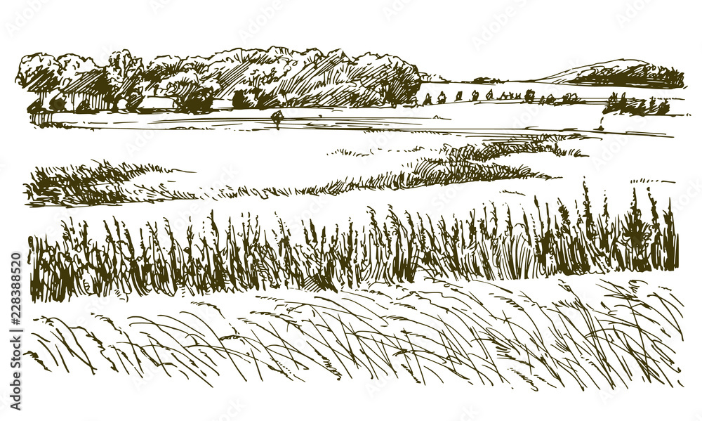 Rural landscape. Hand drawn illustration.